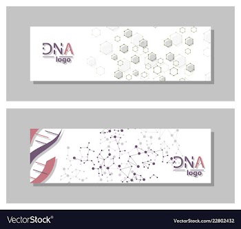 Dna molecule brochure template flyer layout vector image