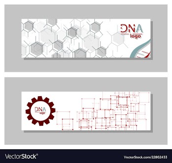Dna molecule brochure template flyer layout vector image