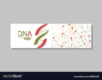 Dna molecule brochure template flyer layout vector image