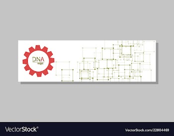 Dna molecule brochure template flyer layout vector image