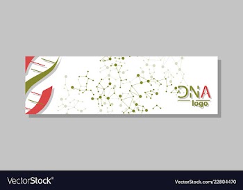 Dna molecule brochure template flyer layout vector image