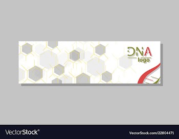 Dna molecule brochure template flyer layout vector image