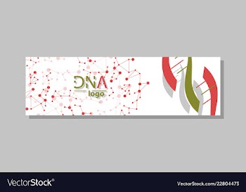 Dna molecule brochure template flyer layout vector image