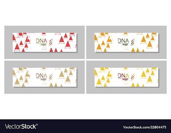 Dna molecule brochure template flyer layout vector image