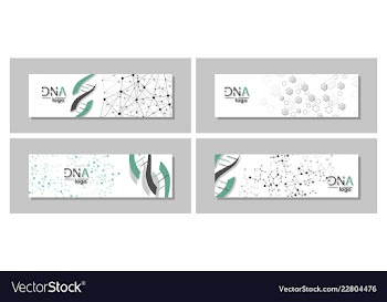 Dna molecule brochure template flyer layout vector image