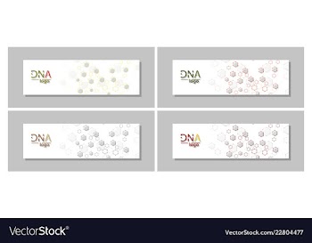 Dna molecule brochure template flyer layout vector image