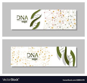 Dna molecule brochure template flyer layout vector image