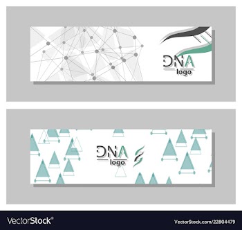 Dna molecule brochure template flyer layout vector image
