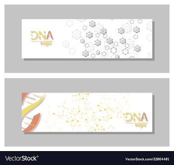 Dna molecule brochure template flyer layout vector image