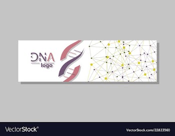Dna molecule brochure template flyer layout vector image
