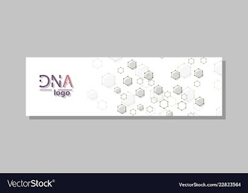 Dna molecule brochure template flyer layout vector image