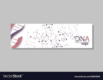 Dna molecule brochure template flyer layout vector image