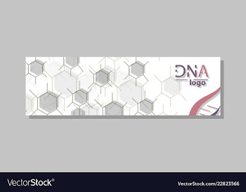 Dna molecule brochure template flyer layout vector image