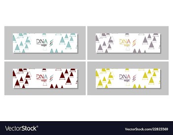 Dna molecule brochure template flyer layout vector image