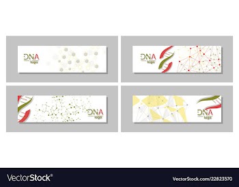 Dna molecule brochure template flyer layout vector image