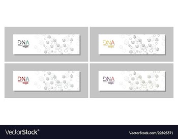 Dna molecule brochure template flyer layout vector image