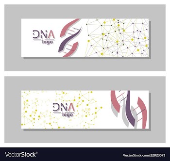 Dna molecule brochure template flyer layout vector image