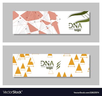 Dna molecule brochure template flyer layout vector image