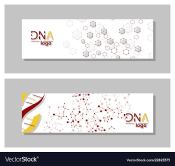 Dna molecule brochure template flyer layout vector image