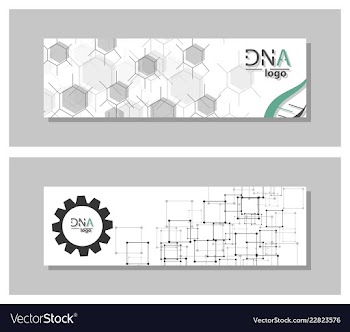 Dna molecule brochure template flyer layout vector image