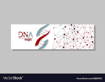 Dna molecule brochure template flyer layout vector image