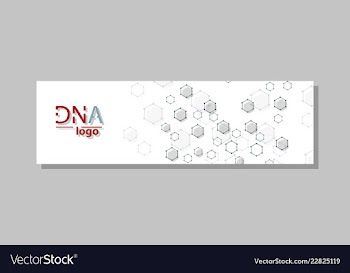 Dna molecule brochure template flyer layout vector image