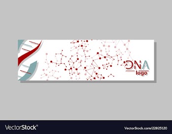 Dna molecule brochure template flyer layout vector image