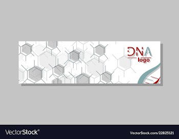 Dna molecule brochure template flyer layout vector image