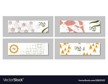 Dna molecule brochure template flyer layout vector image