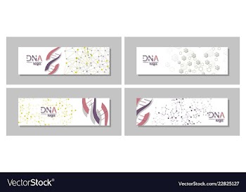 Dna molecule brochure template flyer layout vector image