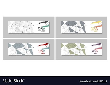 Dna molecule brochure template flyer layout vector image