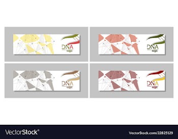 Dna molecule brochure template flyer layout vector image