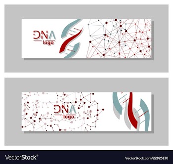 Dna molecule brochure template flyer layout vector image