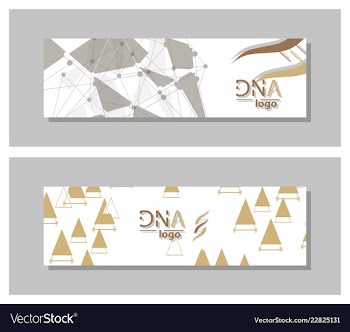 Dna molecule brochure template flyer layout vector image