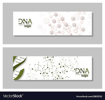 Dna molecule brochure template flyer layout vector image