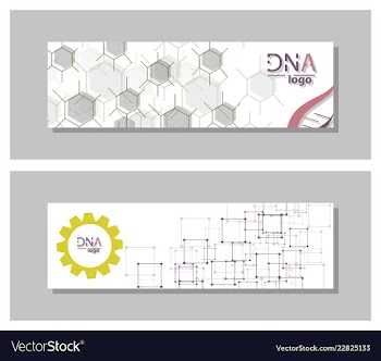 Dna molecule brochure template flyer layout vector image