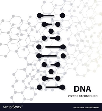 Dna molecule structure background vector image