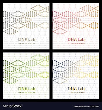 Dna molecule structure background vector image
