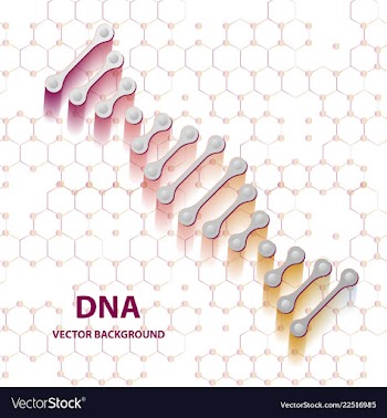 Dna molecule structure background vector image