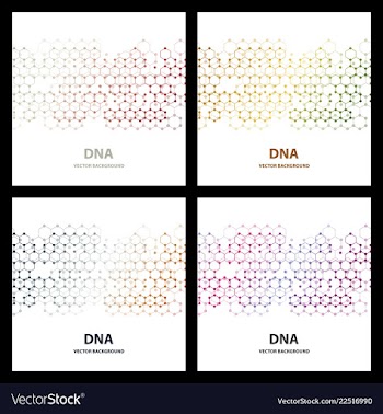 Dna molecule structure background vector image