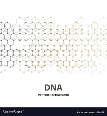 Dna molecule structure background vector image