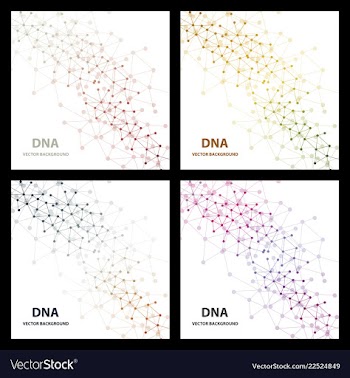 Dna molecule structure background vector image