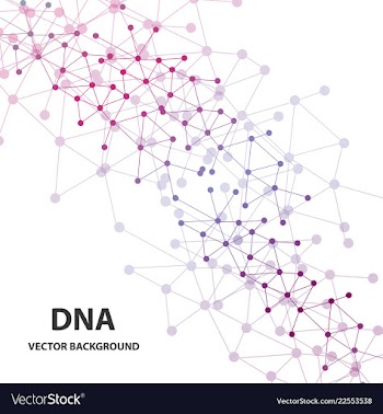 Dna molecule structure background vector image