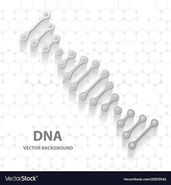 Dna molecule structure background vector image