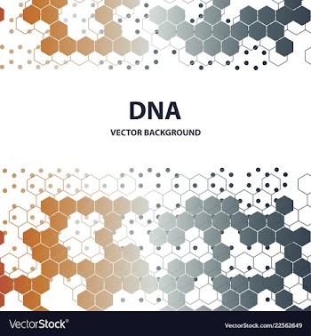 Dna molecule structure background vector image
