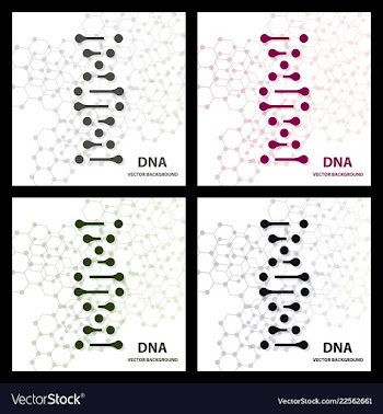 Dna molecule structure background vector image