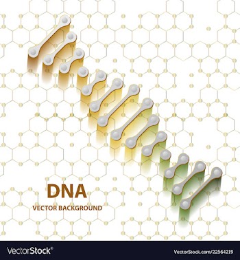 Dna molecule structure background vector image