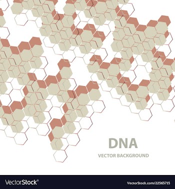 Dna molecule structure background vector image