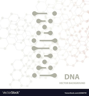 Dna molecule structure background vector image