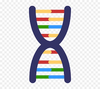 DNA Mutation Genetics Clip art Genetic testing - dnapng banner 